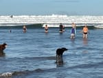 Venus Bay’s morning swimmers go for cold