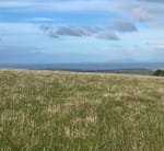 State government expands drought support as farmers face worsening conditions