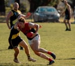 MGFNL - Seniors roundup