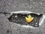 Are our roads roadworthy? Have your say today
