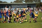 Corner Inlet Stingrays match reports