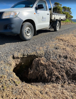 Wombat burrow fixed in record time as state launches major road blitz