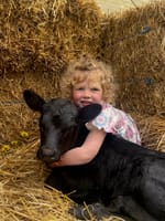 Poddies, pumpkins and pictures at the Foster Show