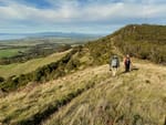 Launch of the Hoddle Mountain Trail Walking Guide