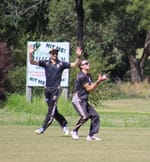 Dees down Tigers as cricket season draws to a close