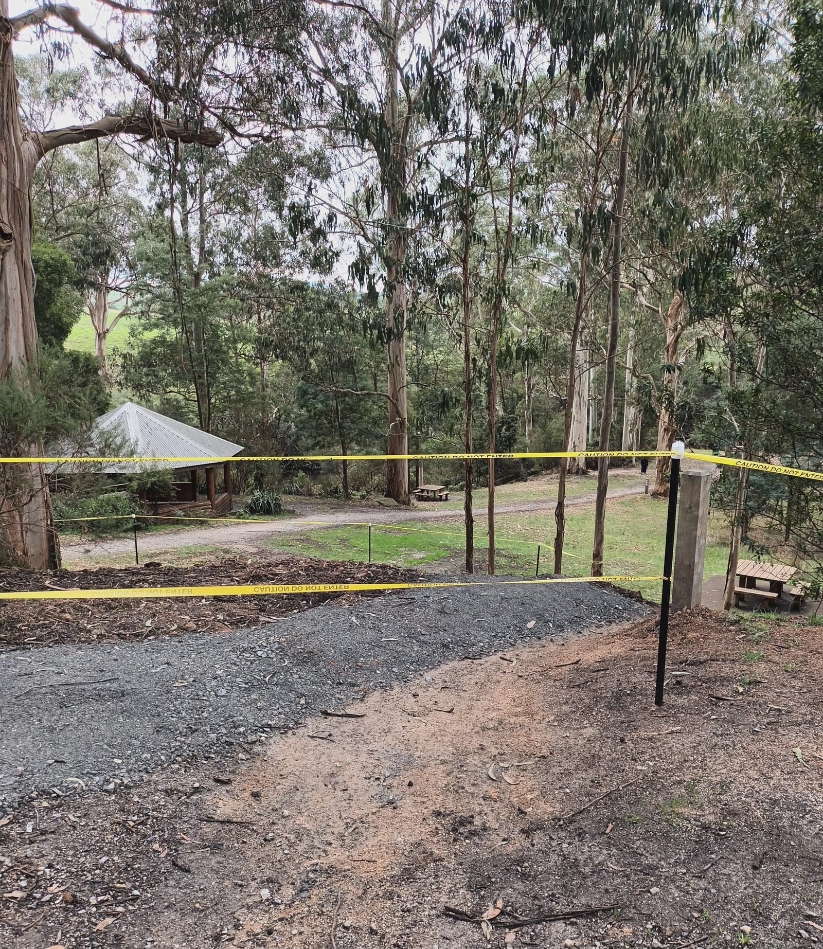 Latest news from the Friends of Agnes Falls