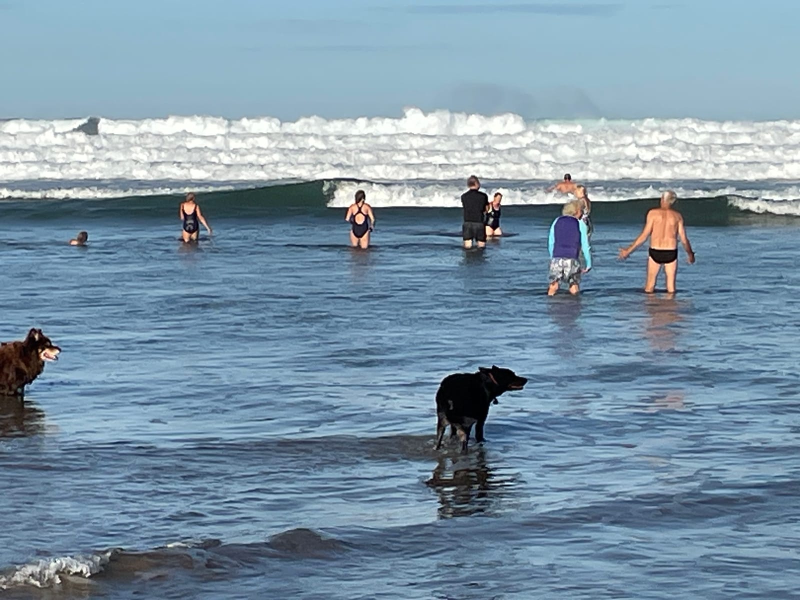 Venus Bay’s morning swimmers go for cold