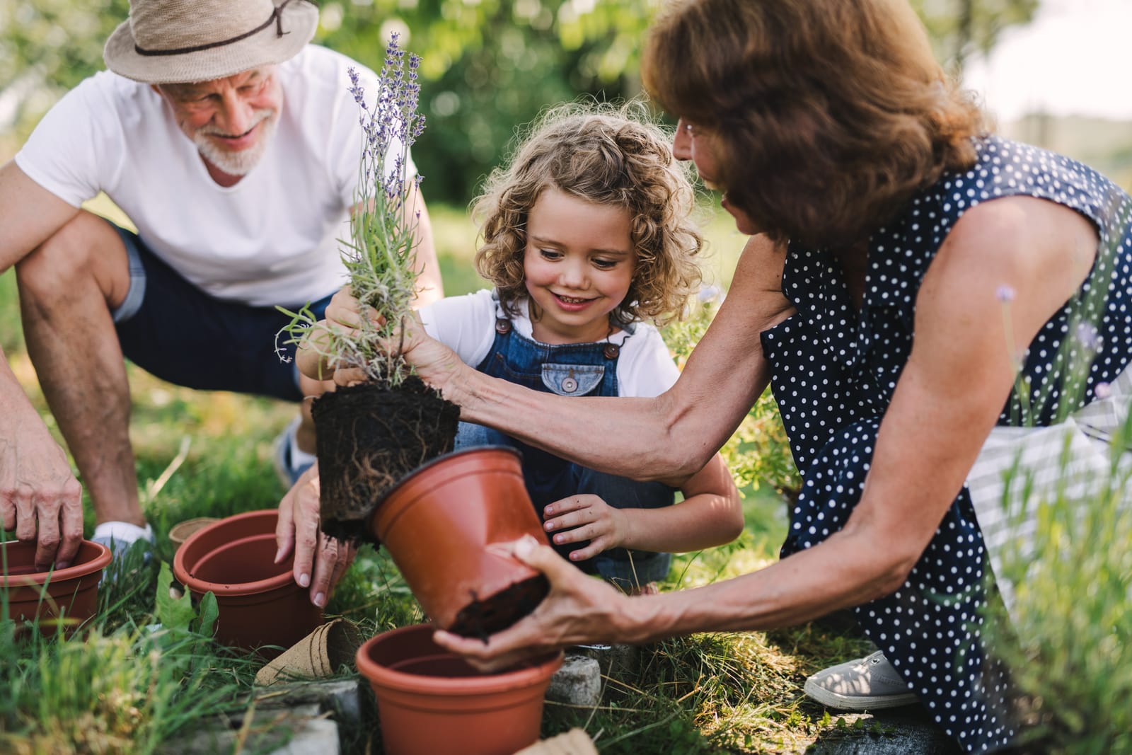 2025 Victorian Senior of the Year Awards nominations now open