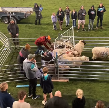 Toora FNC go above and beyond