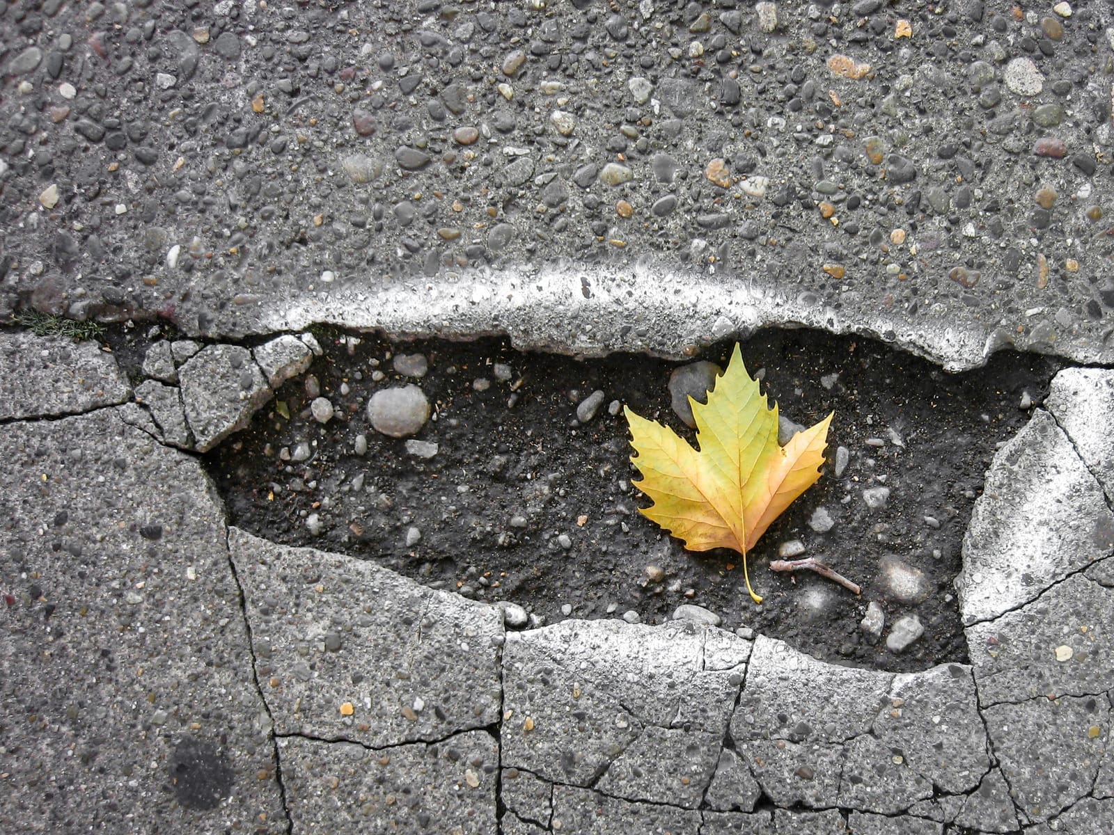 Are our roads roadworthy? Have your say today