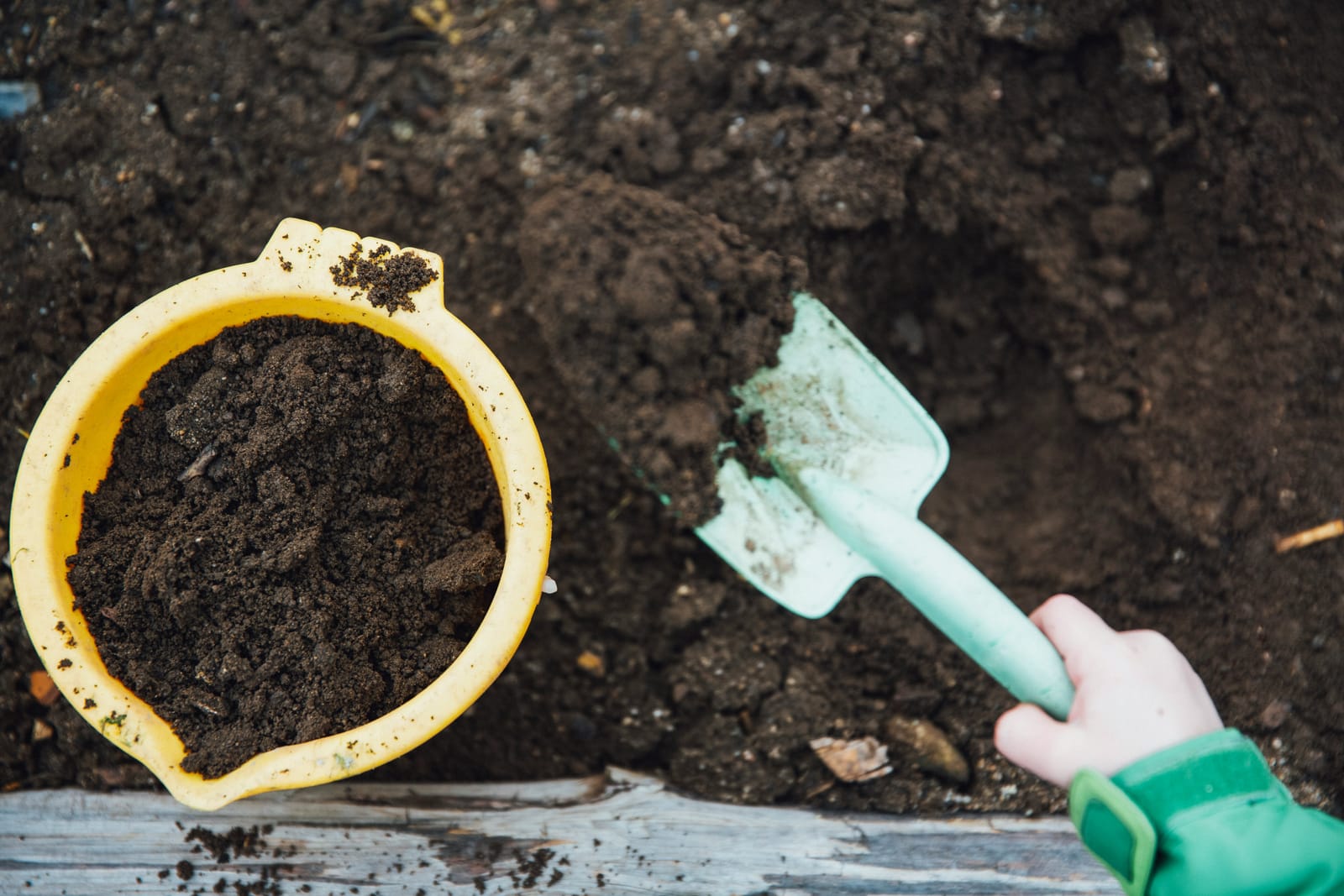 Permaculture gardening