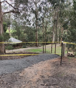 Latest news from the Friends of Agnes Falls