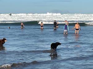 Venus Bay’s morning swimmers go for cold