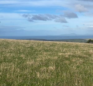 State government expands drought support as farmers face worsening conditions
