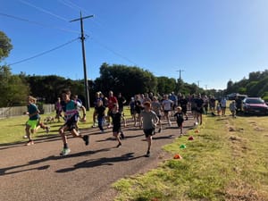Runners shine at regional championships