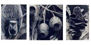THREE: The work of Ken Roberts and Luke Dearlove at Stockyard Gallery