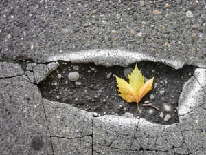 Are our roads roadworthy? Have your say today