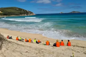 Protect the Prom and help purge the spurge