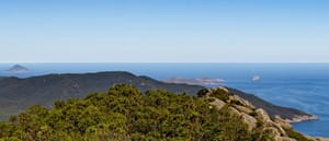 Local businesses urged to register for wind opportunities