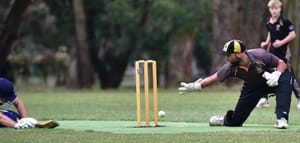 Cricket round up