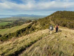 Launch of the Hoddle Mountain Trail Walking Guide