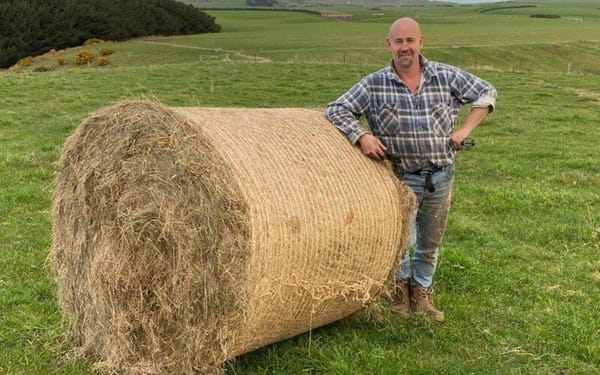 Kiwi farmer's edible bale netting could revolutionise South Gippsland dairy industry