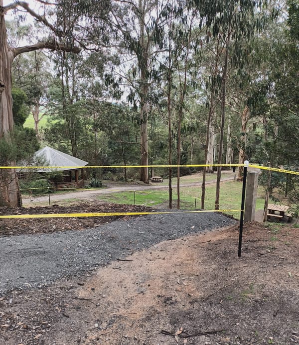 Latest news from the Friends of Agnes Falls