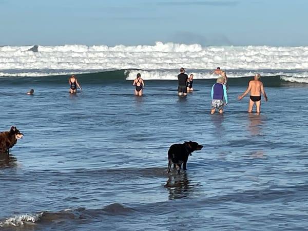 Venus Bay’s morning swimmers go for cold