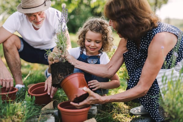 2025 Victorian Senior of the Year Awards nominations now open