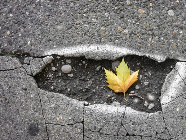 Are our roads roadworthy? Have your say today
