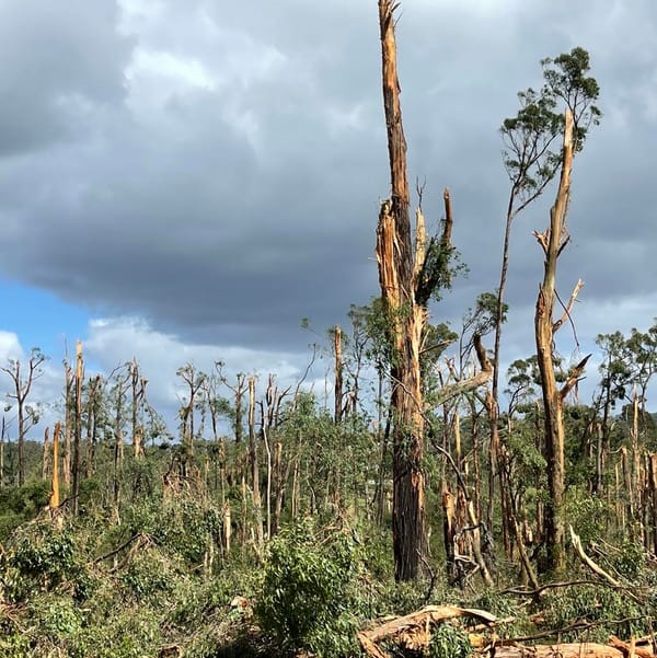 Mirboo North Fund Backs South Gippsland Biolinks Project
