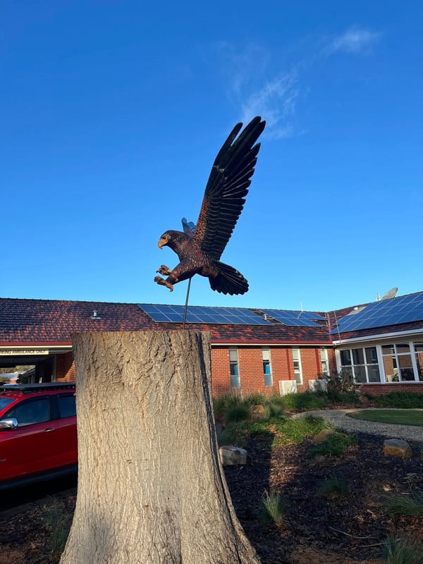 Totem poles take flight