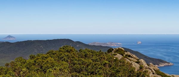 Local businesses urged to register for wind opportunities