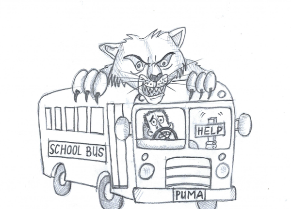 The view from Cement Hill