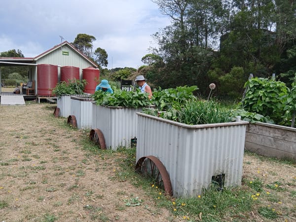 Community gardening open invite