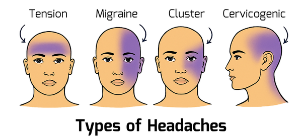 Move well, live well